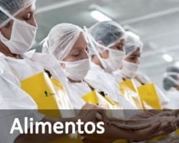 Área de alimentos