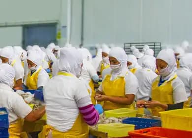 Alimentos